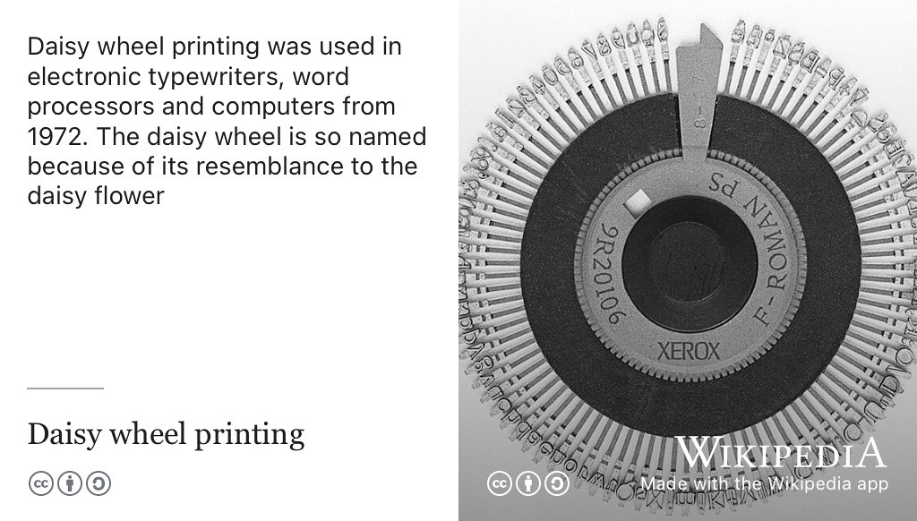 Daisy wheel printers were used in electronic typewriters, word processors and computers from early seventies. The daisy wheel is so named because of its resemblance to the flower of the common daisy Bellis perennis. CC BY-SA picture of Xerox Daisywheel by Pointillist from Wikimedia Commons w.wiki/8Z2g adapted using the Wikipedia app