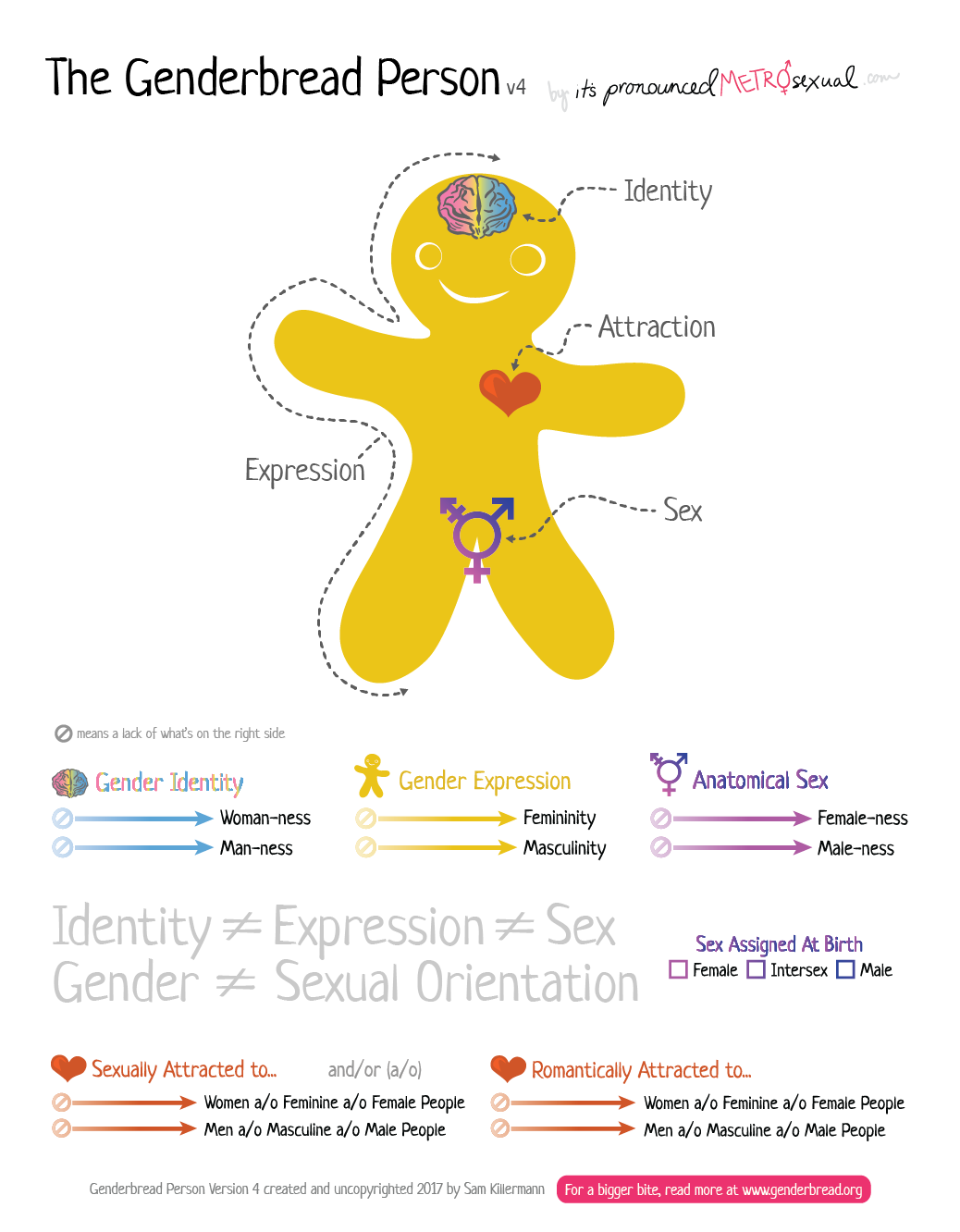 Decomposing gender into its components of identity (woman-ness & man-ness), attraction (romantically and sexually), expression (feminity and masculinity) and sex (female-ness & male-ness). Genderbread Person v4.0 (uncopyright) by Sam Killerman at genderbread.org and itspronouncedmetrosexual.com