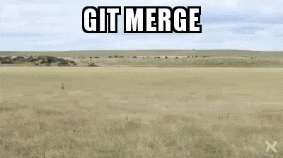 Git merge can get messy, but Marge Conflict can handle it. Meme from giphy.com