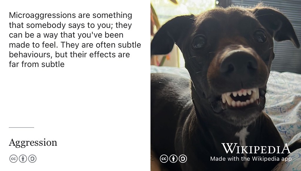 Microaggressions are something that somebody says to you; they can be a way that you’ve been made to feel. They are often subtle behaviours, but their effects are far from subtle. (Hollowood 2022) Creative Commons BY-SA licensed picture of aggressive teeth-bearing behaviour in a domestic dog by Samasjamas on Wikimedia Commons w.wiki/6qJ6