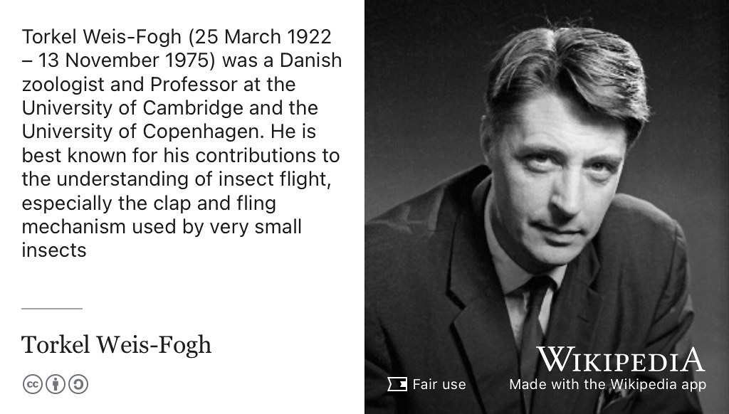 Torkel Weis-Fogh was a Danish zoologist and Professor at the University of Cambridge and the University of Copenhagen. He is best known for his contributions to the understanding of insect flight, especially the clap and fling mechanism used by very small insects. Fair use portrait of Weis-Fogh from Wikimedia Commons w.wiki/8Unj adapated using the Wikipedia app